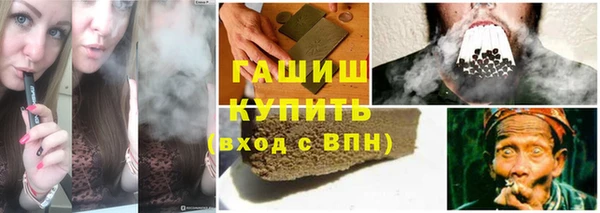 сатива Кинешма