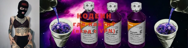 сатива Кинешма