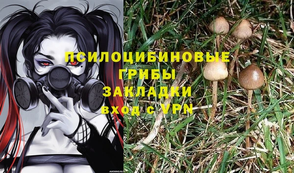 сатива Кинешма